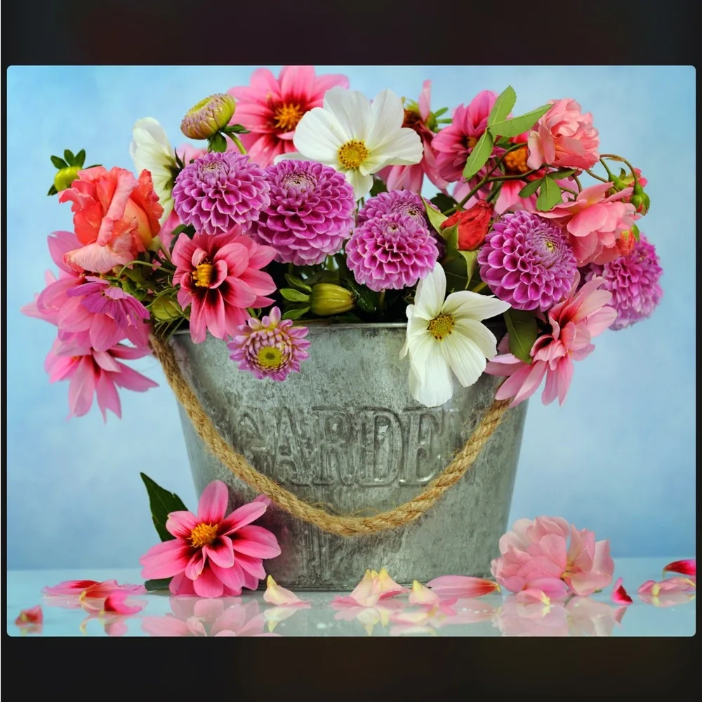 Happy Spring 💗 - Picture 8 of 16